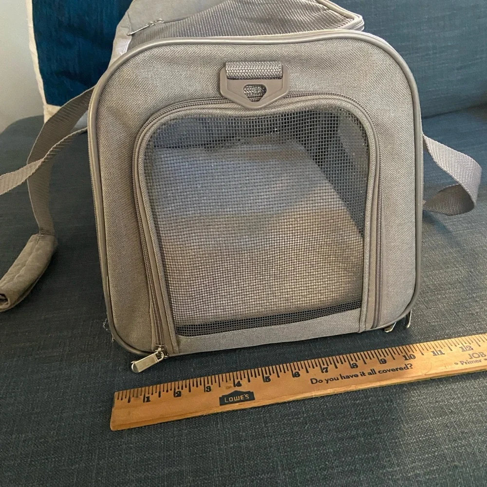 Gray Pet Carrier with Mesh Panels